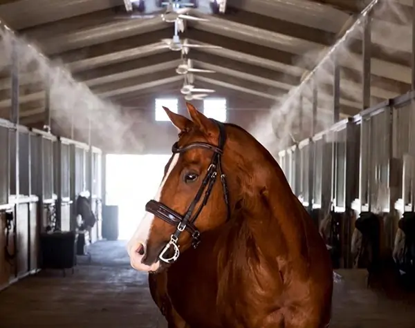 rancho-cucamonga-horse-barn