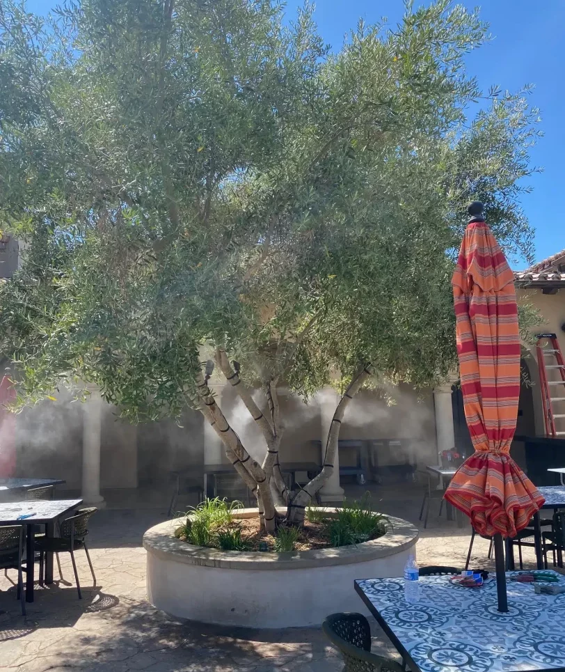 Temecula, CA Vienza Winery patio Temecula, CA Vienza Winery patio