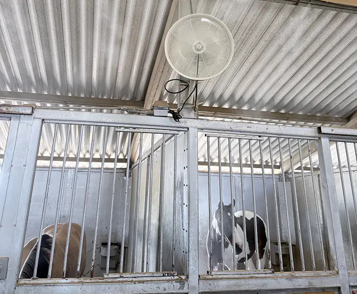 misting-fan-horses-2