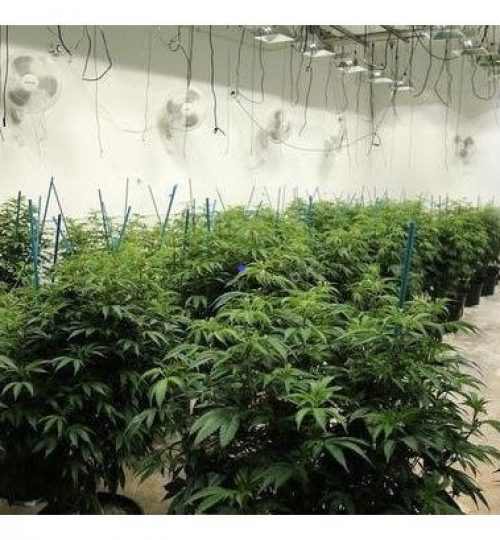 Xtreme XL Humidity Control System - Image 6